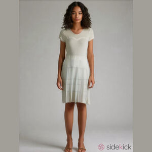 BCBG Max Azria Crochet Short Sleeve Midi Dress Small